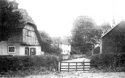 The Prince of Wales in the 1890s