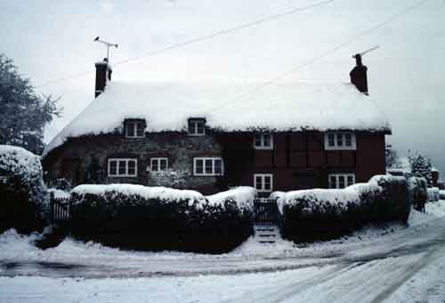 January1982