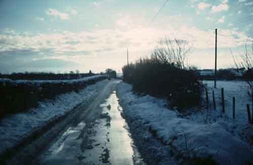 January1982