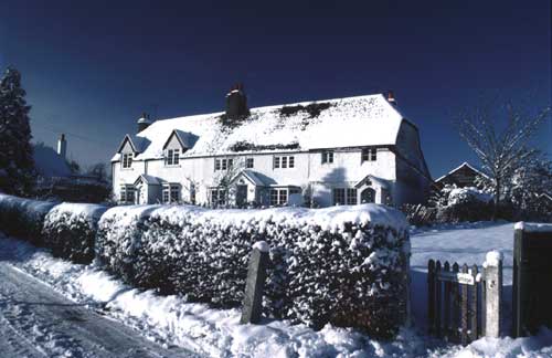 January1982