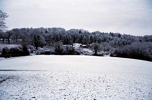 January1982