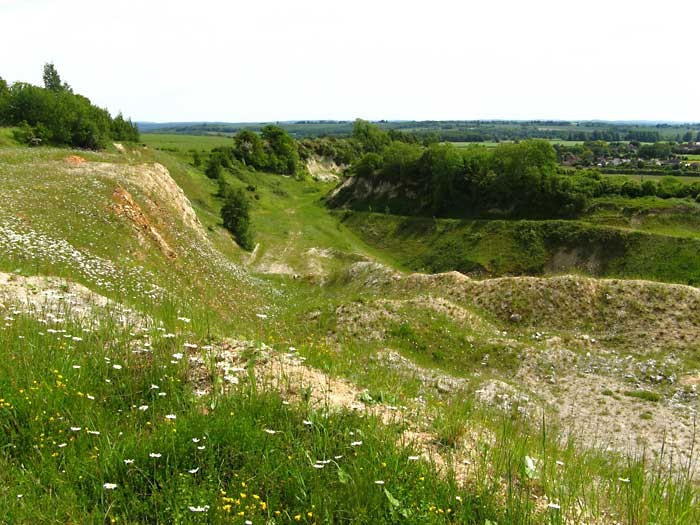 Quarry 2012
