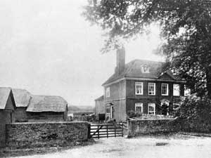 Brocas in 1915