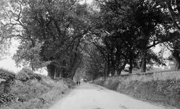 The Hen & Chicken Hill around 1900