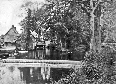 Mill Court mill?