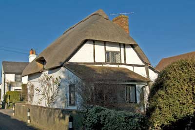 Golden Cottage 2008