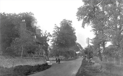 Hen and Chicken 1910
