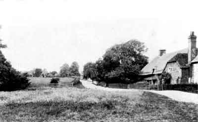 The pond at Husseys Lane as a field