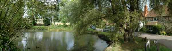 Lower Froyle pond 2004
