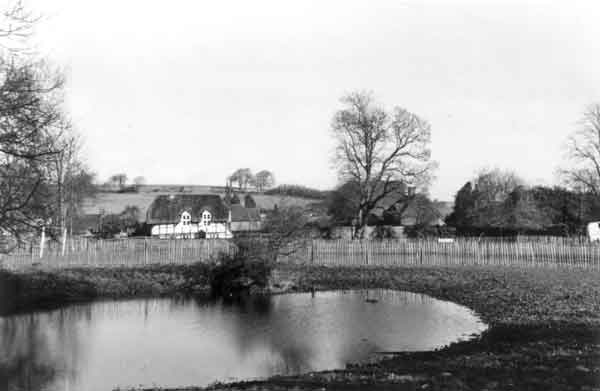 School pond in the 1960s
