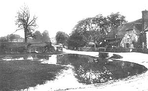 Hussey's pond
