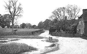 Hussey's pond