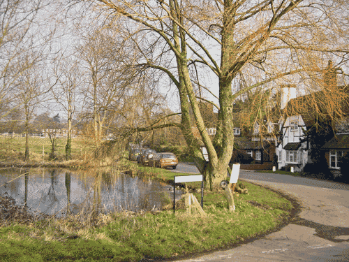 Village pond 2001