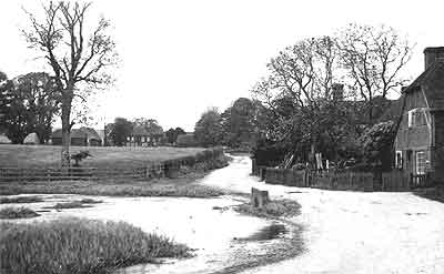 The Village Pond around 1912
