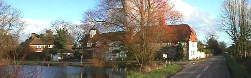 Village pond 1999