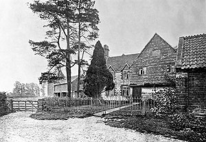 Sylvesters 1915