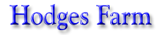 Hodges Farm