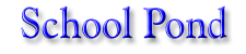 School pond title