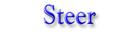 Steer